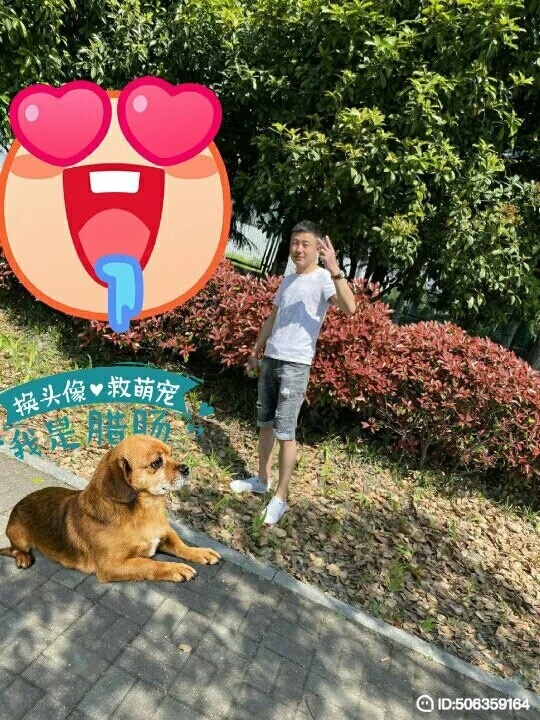 我若不坚强谁替我勇敢的第一张照片--合肥中老年相亲网